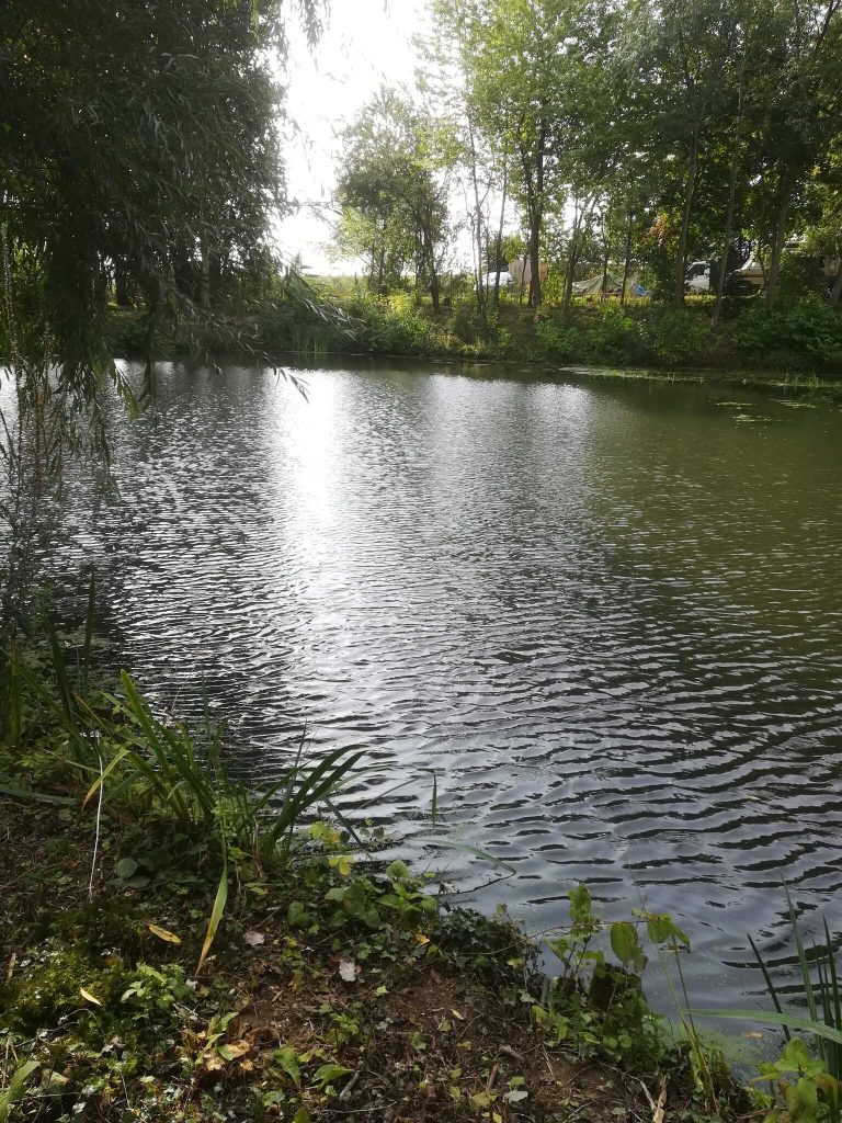 Spring Pools Carp Fishery
