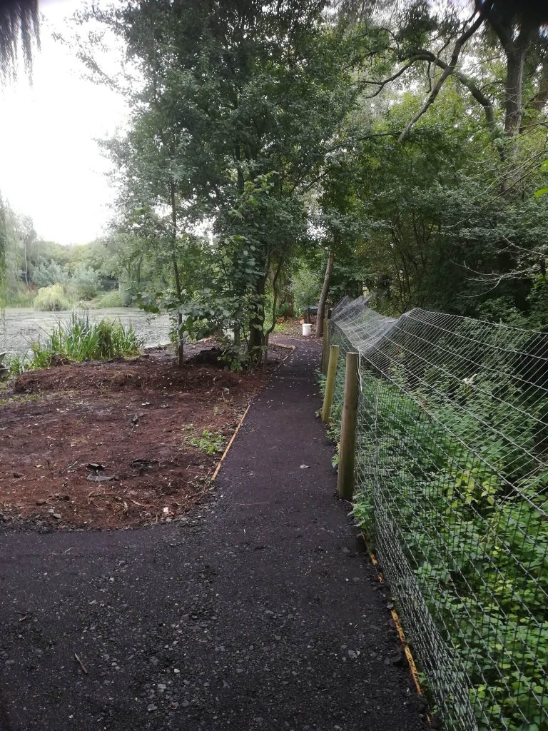 Spring Pools Carp Fishery