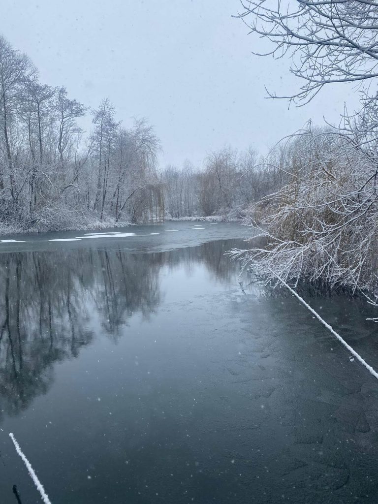 Spring Pools Carp Fishery