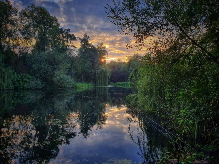 Spring Pools Carp Fishery